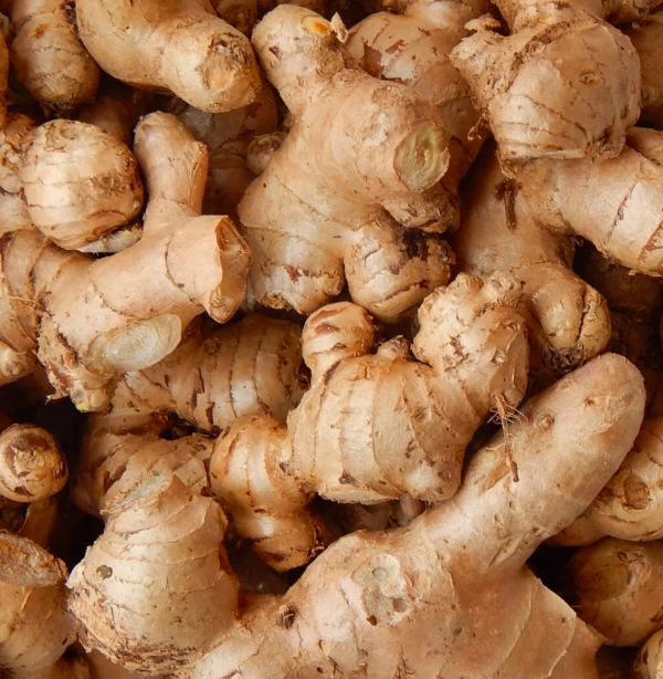 Fresh ginger