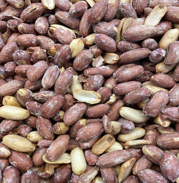 Roasted and salted peanuts